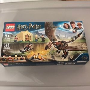 Harry Potter Lego set Goblet Fire Hungarian Horntail Triwizard Challenge 75946